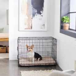 Frisco Swirl Dog Crate Mat -Optimal Pet Shop 110506 PT5. AC SS1800 V1635258765