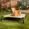 Frisco Steel-Framed Elevated Dog Bed -Optimal Pet Shop 112076 MAIN. AC SS1800 V1674156718