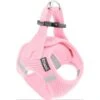 Frisco Small Breed Soft Vest Step In Back Clip Dog Harness -Optimal Pet Shop 139821 MAIN. AC SS1800 V1699631626