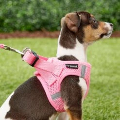 Frisco Small Breed Soft Vest Step In Back Clip Dog Harness -Optimal Pet Shop 139821 PT5. AC SS1800 V1561573781