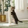 Frisco 21-in Sisal Cat Scratching Post With Toy -Optimal Pet Shop 140149 MAIN. AC SS1800 V1665765071