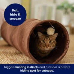 Frisco 35-in Foldable Crinkle Play Tunnel With 1 Window -Optimal Pet Shop 140166 PT3. AC SS1800 V1695670685