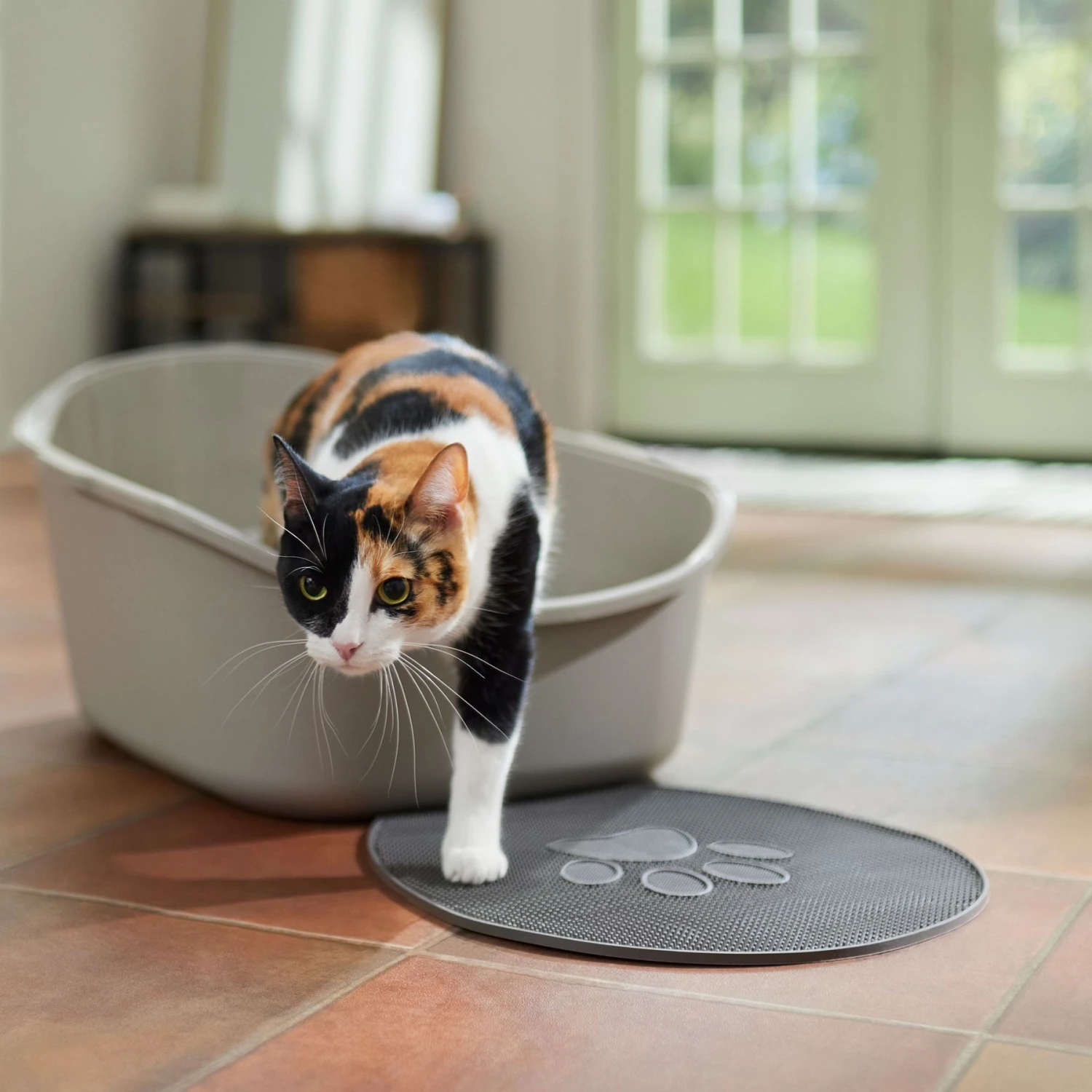 Frisco High Back Cat Litter Box, Extra Large 3 Frisco High Back Cat Litter Box, Extra Large