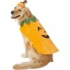 Frisco Pumpkin Dog & Cat Costume 1 Frisco Pumpkin Dog & Cat Costume -Optimal Pet Shop 144446 MAIN. AC SS1800 V1540495184