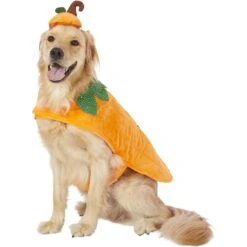 Frisco Pumpkin Dog & Cat Costume -Optimal Pet Shop 144446 PT2. AC SS1800 V1567174700