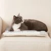 Frisco Reversible Square Cat Pad -Optimal Pet Shop 144826 MAIN. AC SS1800 V1566936429