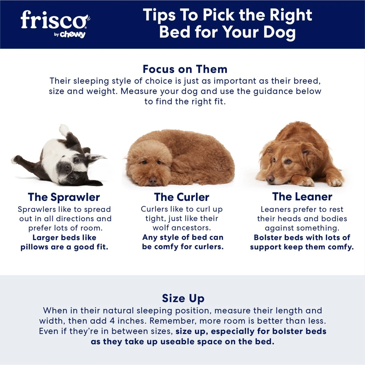 Frisco Plush Orthopedic Pillowtop Dog Bed W/Removable Cover 6 Frisco Plush Orthopedic Pillowtop Dog Bed W/Removable Cover - Image 4