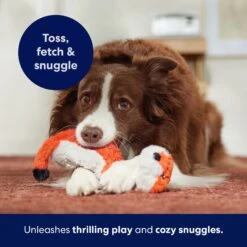 Frisco Fox Skinny Plush Squeaky Dog Toy 12 Frisco Fox Skinny Plush Squeaky Dog Toy -Optimal Pet Shop 147049 PT5. AC SS1800 V1691776638