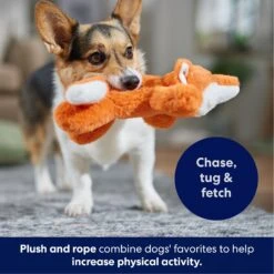 Frisco Fox Plush With Inside Rope Squeaky Dog Toy 12 Frisco Fox Plush With Inside Rope Squeaky Dog Toy -Optimal Pet Shop 147065 PT4. AC SS1800 V1695671059