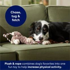 Frisco Monkey Plush With Rope Squeaky Dog Toy -Optimal Pet Shop 147067 PT4. AC SS1800 V1686079871