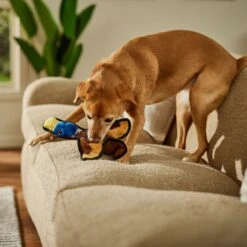 Frisco Duck Flat Plush Squeaky Dog Toy -Optimal Pet Shop 147069 PT3. AC SS1800 V1674158058