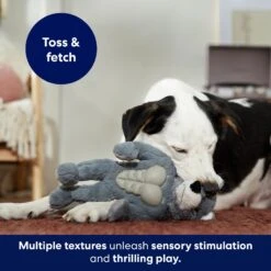 Frisco Wolf Muscle Plush Squeaky Dog Toy -Optimal Pet Shop 147082 PT5. AC SS1800 V1691776574