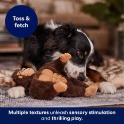 Frisco Gorilla Muscle Plush Squeaky Dog Toy -Optimal Pet Shop 147084 PT5. AC SS1800 V1694182068