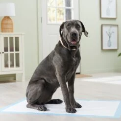 Frisco Premium Giant Dog Training & Potty Pads -Optimal Pet Shop 152699 PT6. AC SS1800 V1674671620
