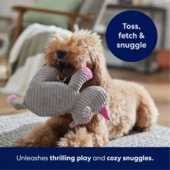 Frisco Rhino Corduroy Plush Squeaky Dog Toy 12 Frisco Rhino Corduroy Plush Squeaky Dog Toy -Optimal Pet Shop 152828 PT4. AC SS1800 V1695659205
