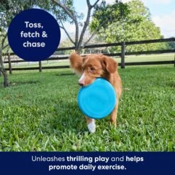 Frisco Fetch Rubber Flyer Dog Toy -Optimal Pet Shop 152848 PT5. AC SS1800 V1692370079