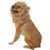 Frisco Lion Mane Dog & Cat Costume -Optimal Pet Shop 158732 MAIN. AC SS1800 V1625873829