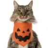 Frisco Jack O' Lantern Pumpkin Dog & Cat Bandana -Optimal Pet Shop 158934 MAIN. AC SS1800 V1669148132