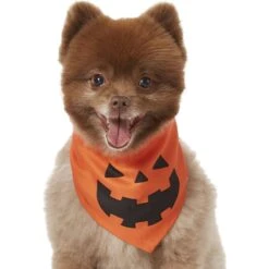 Frisco Jack O' Lantern Pumpkin Dog & Cat Bandana -Optimal Pet Shop 158934 PT2. AC SS1800 V1690828662