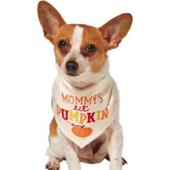 Frisco Mommy's Lil Pumpkin Dog & Cat Bandana -Optimal Pet Shop 158936 PT2. AC SS1800 V1689629423