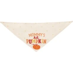 Frisco Mommy's Lil Pumpkin Dog & Cat Bandana -Optimal Pet Shop 158936 PT3. AC SS1800 V1689628812