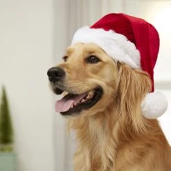 Frisco Holiday Dog & Cat Santa Hat, 1 Count 12 Frisco Holiday Dog & Cat Santa Hat, 1 Count -Optimal Pet Shop 160054 PT4. AC SS1800 V1637650626