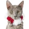 Frisco Jingle Bells Dog & Cat Holiday Collar With Bells, 1 Count -Optimal Pet Shop 160063 MAIN. AC SS1800 V1663948848