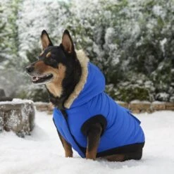 Frisco Heavyweight Anchorage Insulated Dog & Cat Parka -Optimal Pet Shop 160250 PT7. AC SS1800 V1567011259