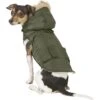 Frisco Mid-Heavyweight Portland Insulated Dog & Cat Parka 1 Frisco Mid-Heavyweight Portland Insulated Dog & Cat Parka -Optimal Pet Shop 160295 MAIN. AC SS1800 V1566999745