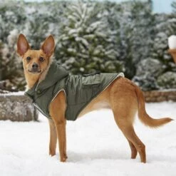 Frisco Mid-Heavyweight Portland Insulated Dog & Cat Parka -Optimal Pet Shop 160295 PT7. AC SS1800 V1567618265