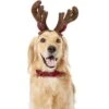Frisco Holiday Antler Headband & Bell Collar Dog & Cat Costume 1 Frisco Holiday Antler Headband & Bell Collar Dog & Cat Costume -Optimal Pet Shop 160658 Main. AC SS1800 V1568818034