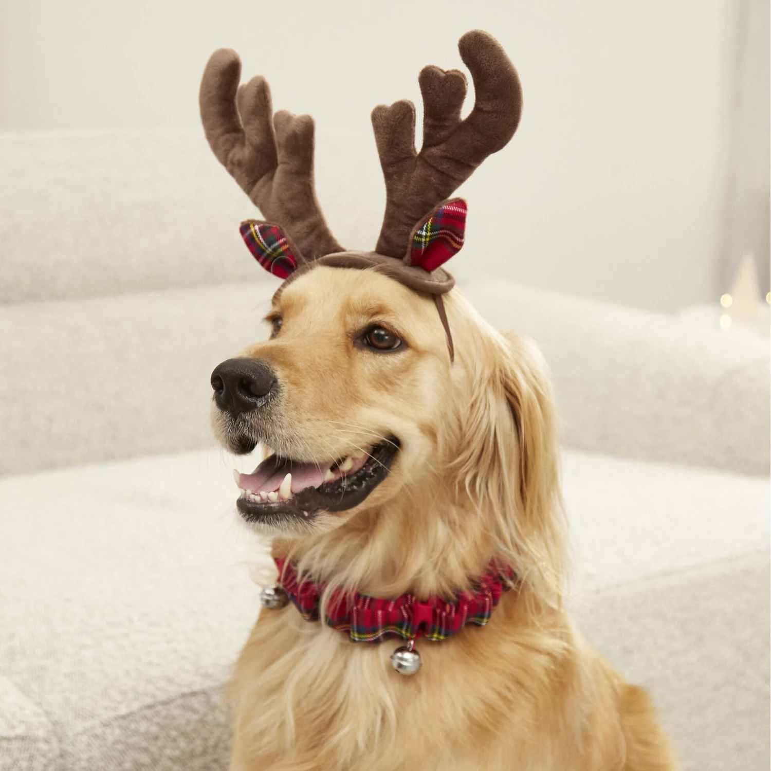 Frisco Holiday Antler Headband & Bell Collar Dog & Cat Costume 6 Frisco Holiday Antler Headband & Bell Collar Dog & Cat Costume - Image 4