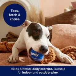 Frisco Chewy Fetch Squeaky Tennis Ball Dog Toy -Optimal Pet Shop 164314 PT3. AC SS1800 V1691783970
