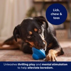 Frisco Flying Saucer Rubber Treat Dispenser Dog Toy -Optimal Pet Shop 164757 PT5. AC SS1800 V1691784247