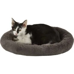 Frisco Self Warming Bolster Round Kitten Bed -Optimal Pet Shop 165315 PT2. AC SS1800 V1568211141