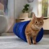 Frisco Foldable Play Tunnel With Mesh Cat Toy -Optimal Pet Shop 166385 MAIN. AC SS1800 V1686579145