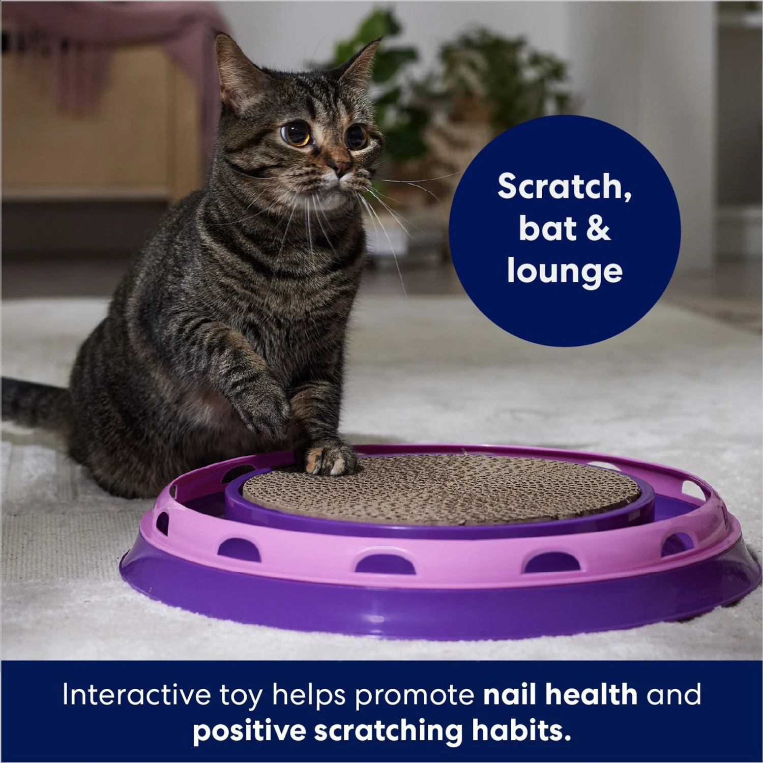 Frisco Scratch & Roll Scratcher Cat Toy With Catnip 5 Frisco Scratch & Roll Scratcher Cat Toy With Catnip - Image 3