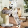 Frisco 24.8-in Heavy Duty Faux Fur Cat Tree 2 Frisco 24.8-in Heavy Duty Faux Fur Cat Tree -Optimal Pet Shop 169397 MAIN. AC SS1800 V1680808632
