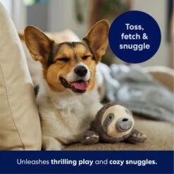 Frisco Sloth Plush Squeaky Dog Toy -Optimal Pet Shop 174681 PT4. AC SS1800 V1695671029