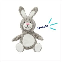 Frisco Bunny Textured Plush Squeaky Dog Toy -Optimal Pet Shop 174693 PT2. AC SS1800 V1695670750