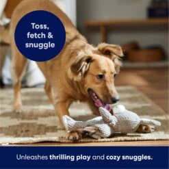 Frisco Bunny Textured Plush Squeaky Dog Toy -Optimal Pet Shop 174693 PT4. AC SS1800 V1695671088