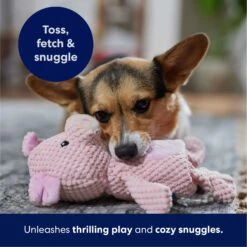 Frisco Pig Textured Plush Squeaky Dog Toy 12 Frisco Pig Textured Plush Squeaky Dog Toy -Optimal Pet Shop 174695 PT4. AC SS1800 V1695670689
