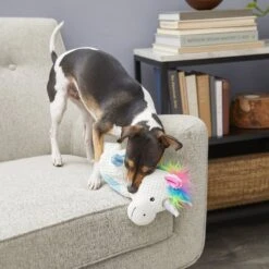 Frisco Unicorn Textured Plush Squeaky Dog Toy -Optimal Pet Shop 174699 PT2. AC SS1800 V1573492386
