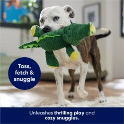 Frisco Alligator Corduroy Plush Squeaky Dog Toy -Optimal Pet Shop 174705 PT5. AC SS1800 V1686580081