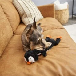 Frisco Penguin Skinny Plush Squeaky Dog Toy -Optimal Pet Shop 174707 PT2. AC SS1800 V1573492672