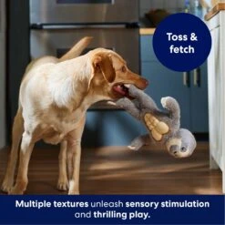 Frisco Sloth Muscle Plush Squeaky Dog Toy -Optimal Pet Shop 174715 PT4. AC SS1800 V1695670689