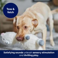 Frisco Llama Bobberz Plush Squeaky Dog Toy -Optimal Pet Shop 174741 PT4. AC SS1800 V1695671063