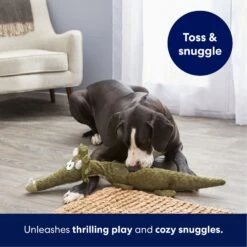 Frisco Triceratops Wagazoo Plush Squeaky Dog Toy -Optimal Pet Shop 174747 PT4. AC SS1800 V1695748419