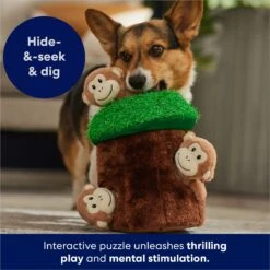 Frisco Monkeys In Tree Hide & Seek Puzzle Plush Squeaky Dog Toy -Optimal Pet Shop 174759 PT5. AC SS1800 V1702598595