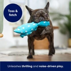 Frisco Dinosaur Latex Squeaky Dog Toy -Optimal Pet Shop 174770 PT3. AC SS1800 V1686579138